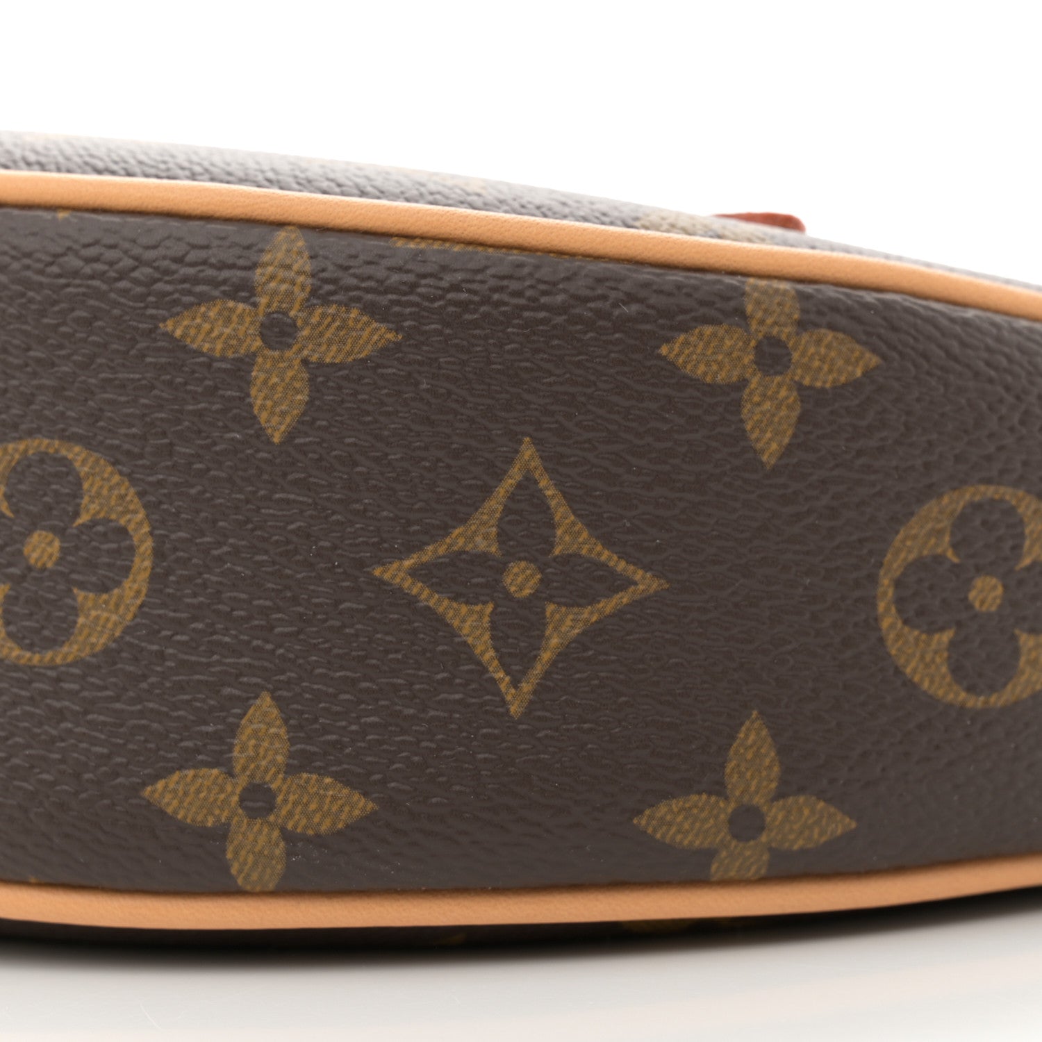 Louis Vuitton Monogram Loop 9 of 9