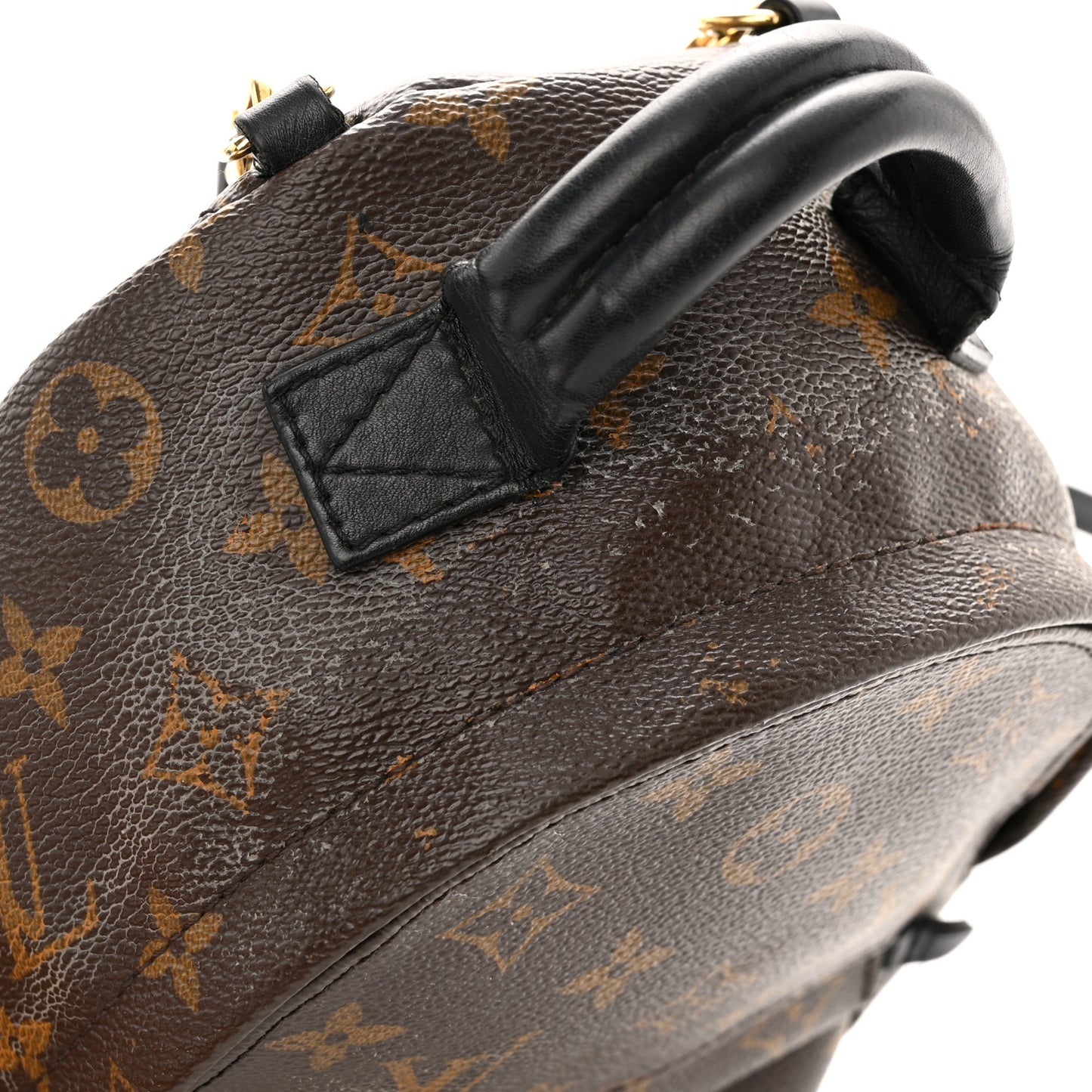 Monogram Palm Springs Backpack Mini