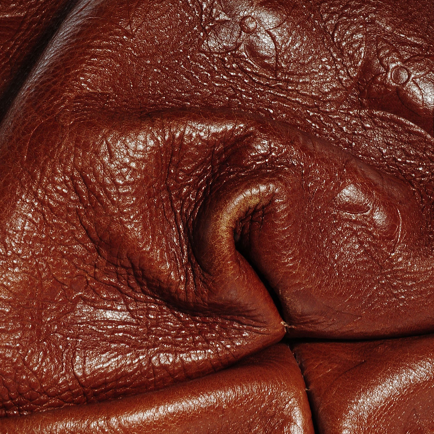 Louis Vuitton Monogram Epices Kalahari GM Masala 9 of 9