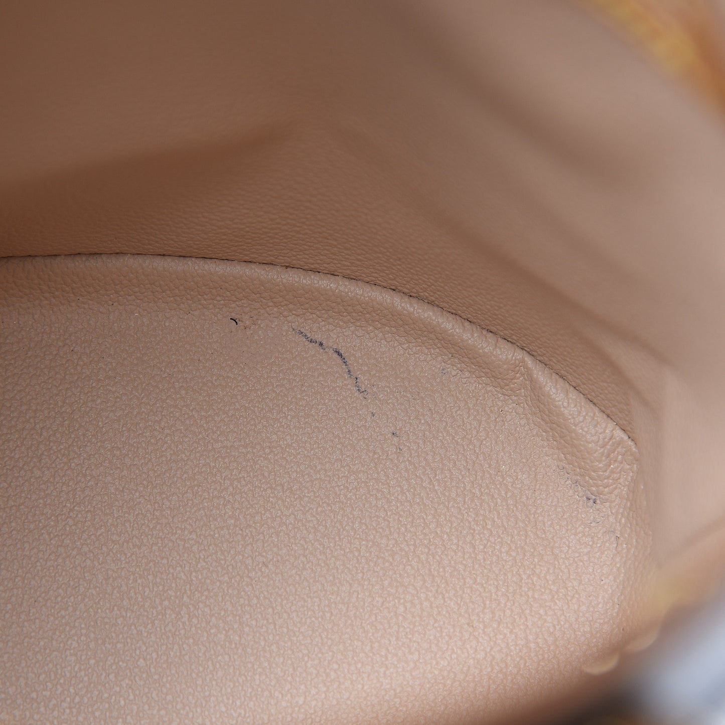 Monogram Petit Bucket 23