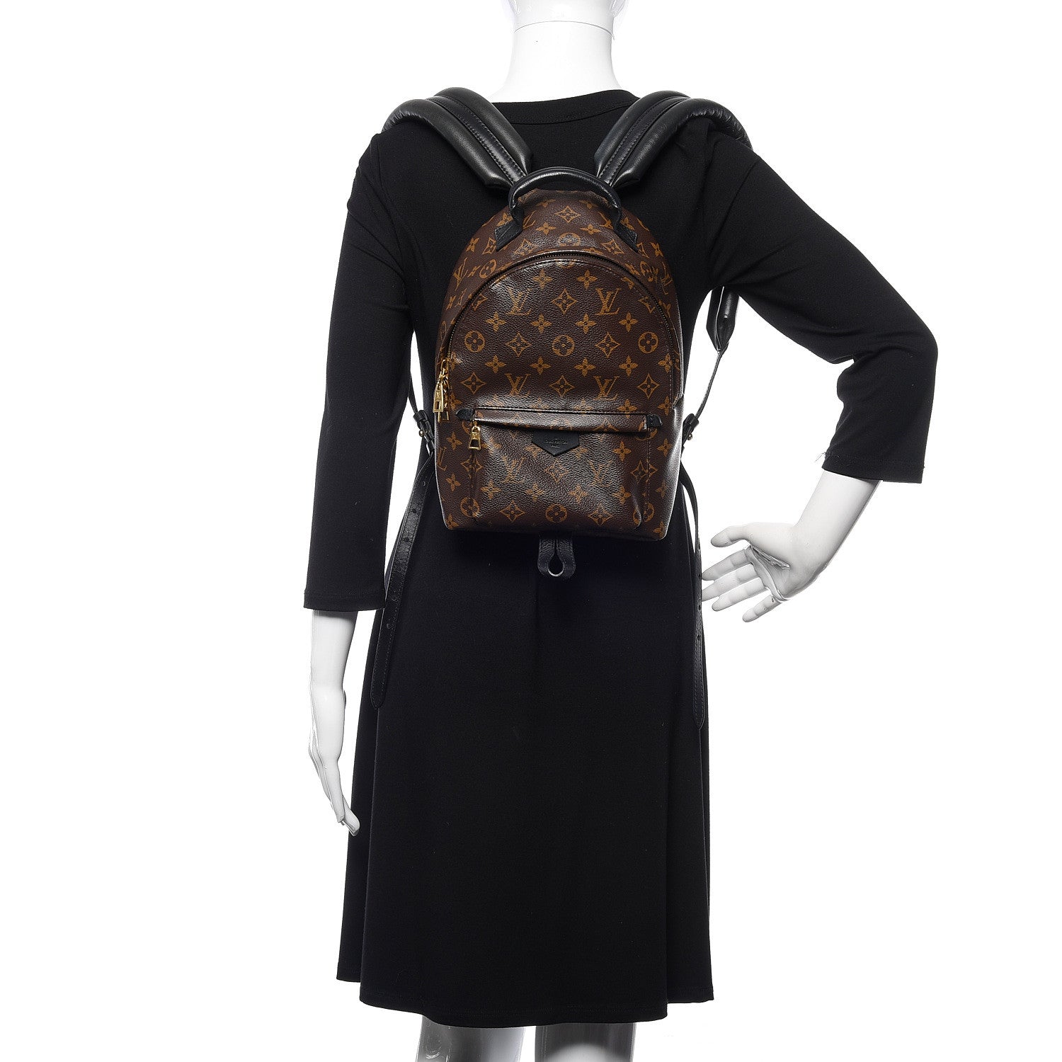Louis Vuitton Monogram Palm Springs Backpack PM 2 of 9