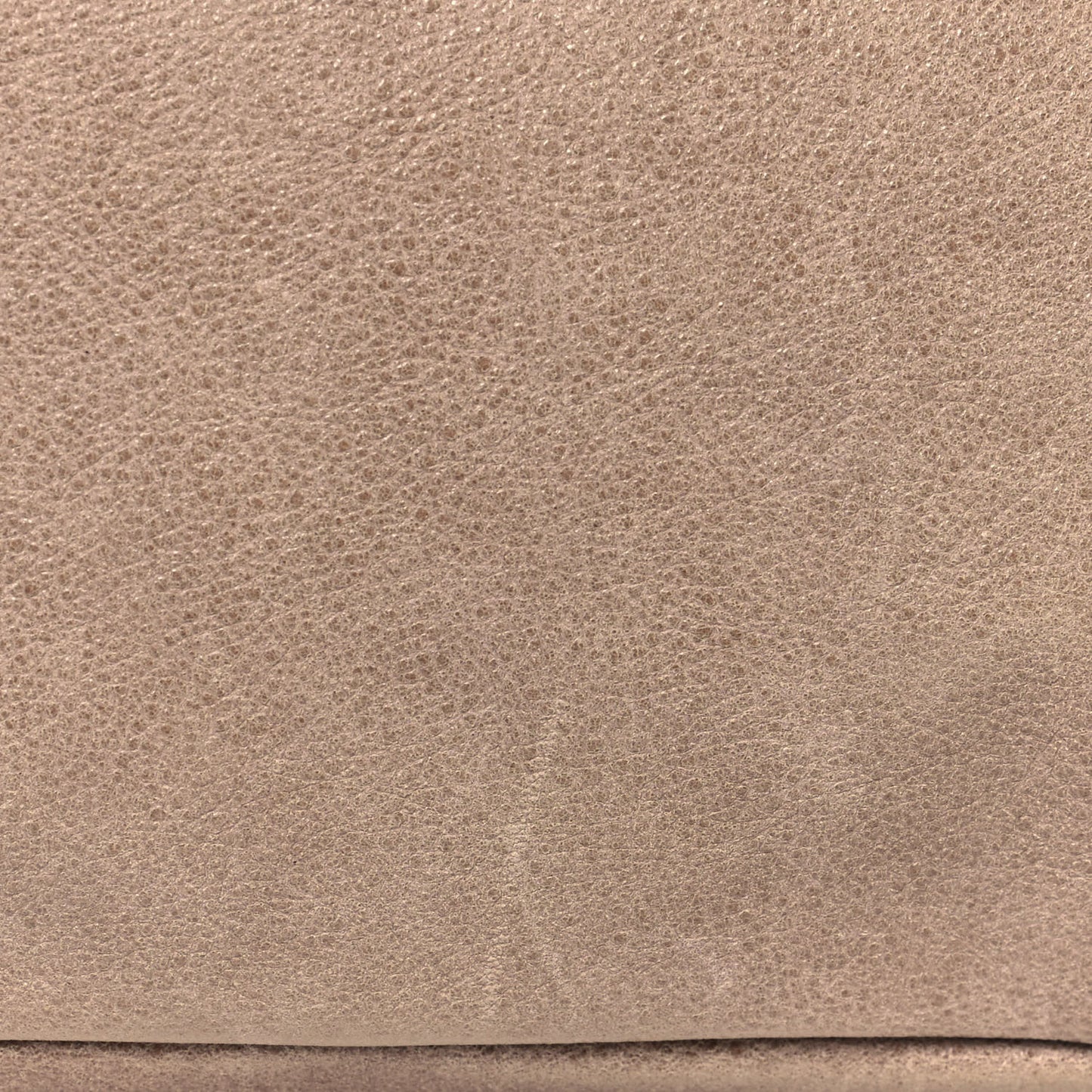 Washed Calfskin Tote Marron Clair