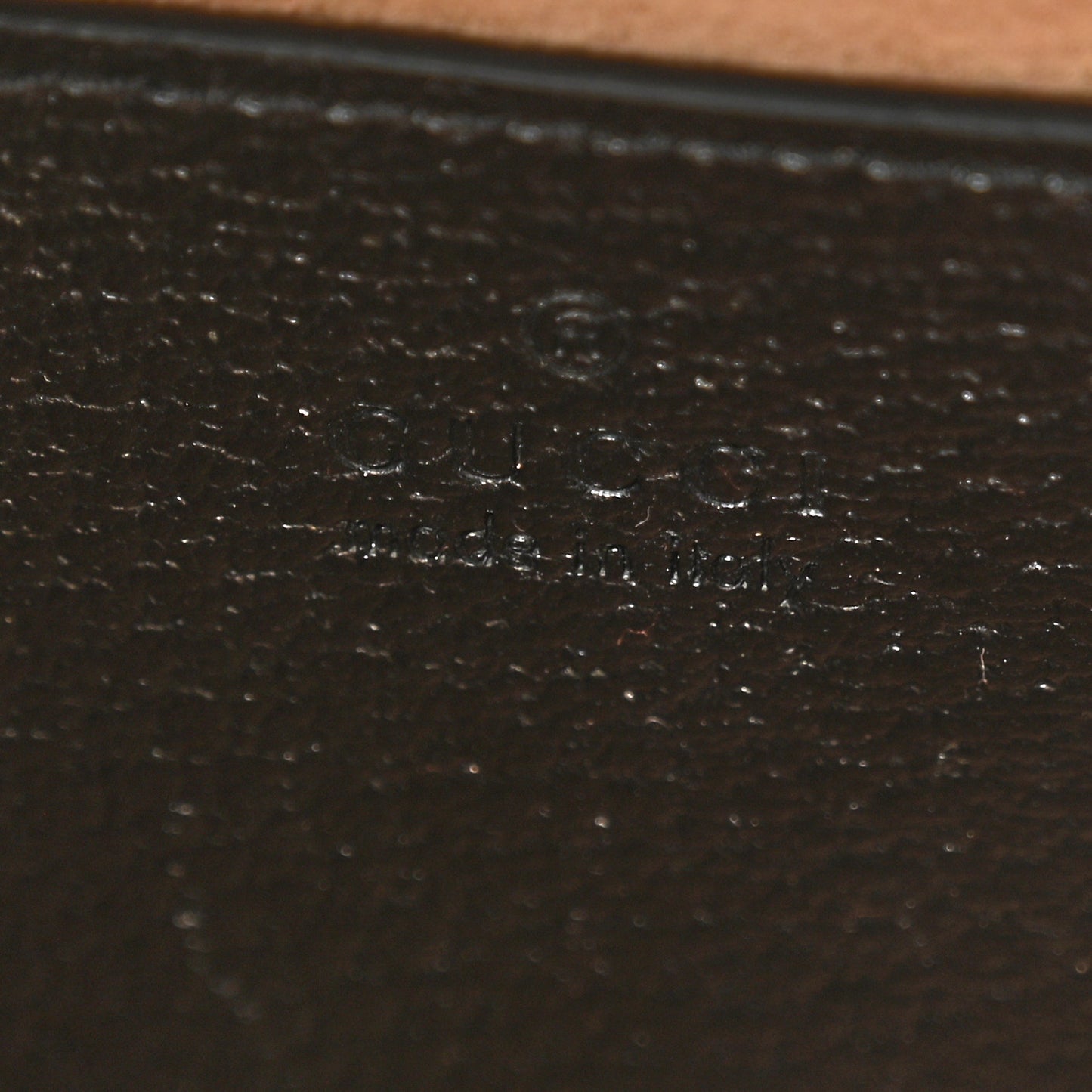 Textured Dollar Calfskin Web Mini Diana Tote Bag Black