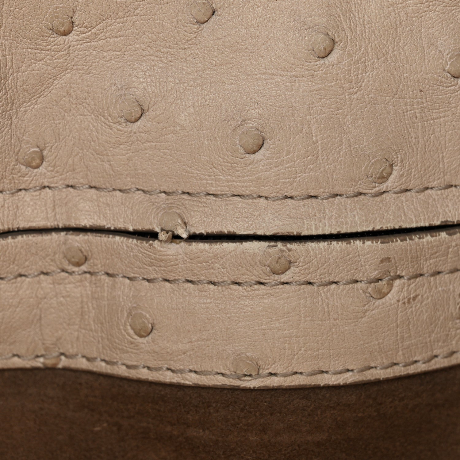 Bottega Veneta Ostrich Small Roma Tote Limestone 1842083