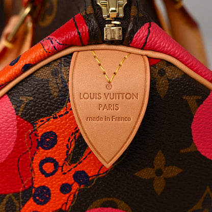 Louis Vuitton Monogram Ramages Speedy 30 Grenade 6 of 10