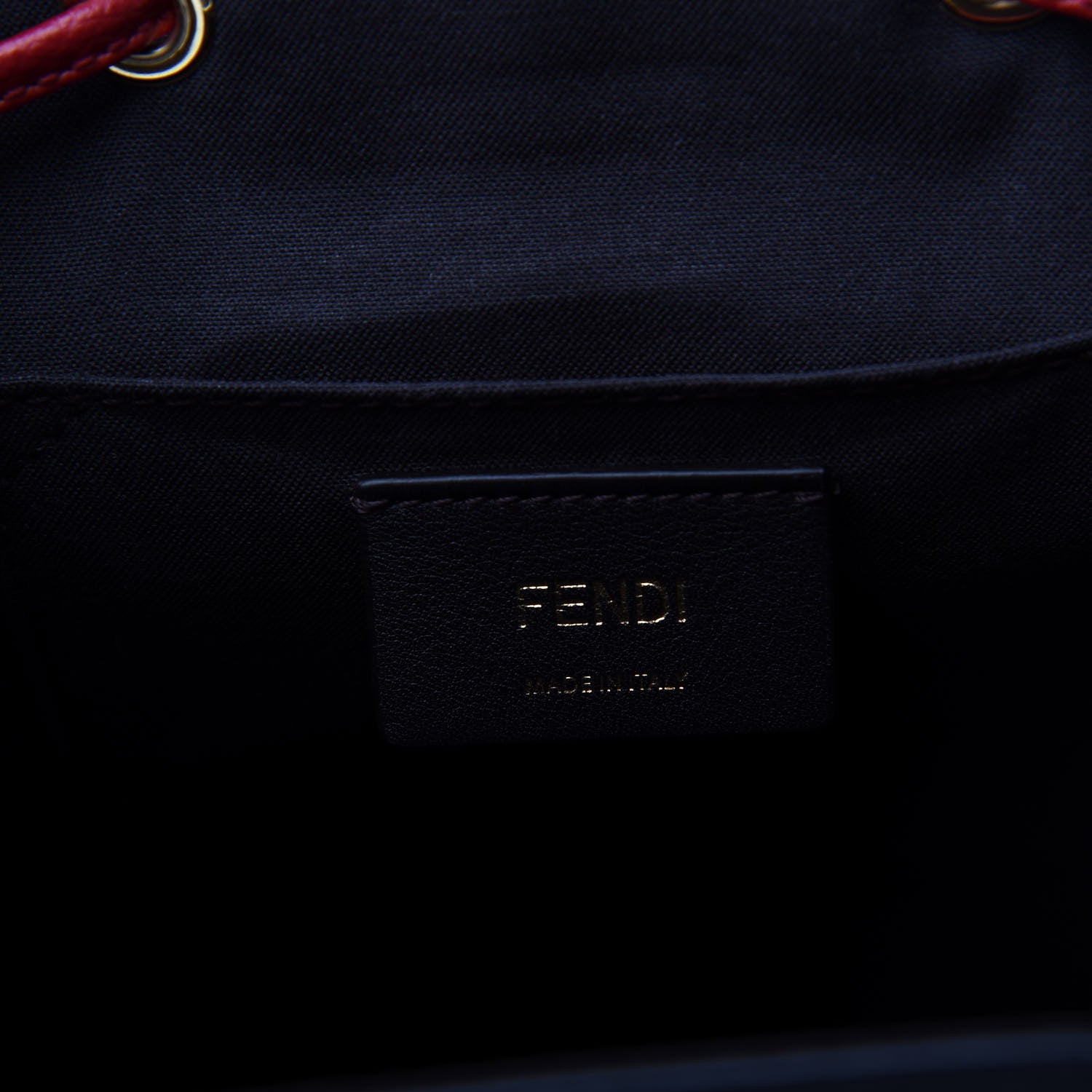 Fendi Vitello Cruise Bi-Color FF 1974 Embossed F is Fendi Drawstring Backpack Black Fragola Maya 5 of 8