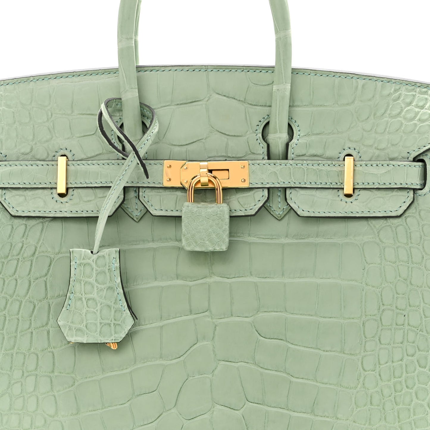Matte Alligator Birkin 25 Vert D'eau
