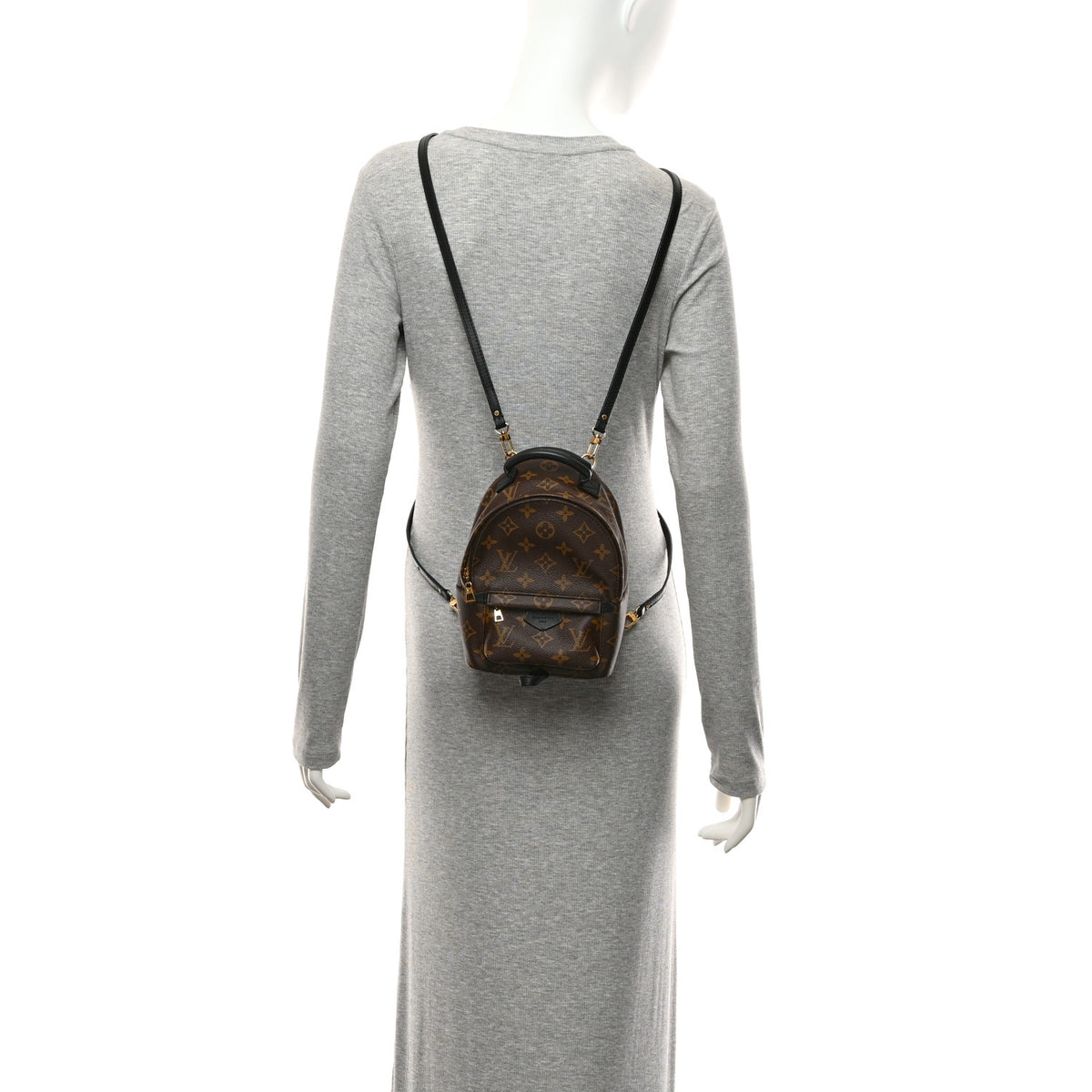 Monogram Palm Springs Backpack Mini