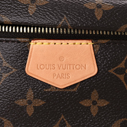 Louis Vuitton Monogram Bumbag 10 of 14