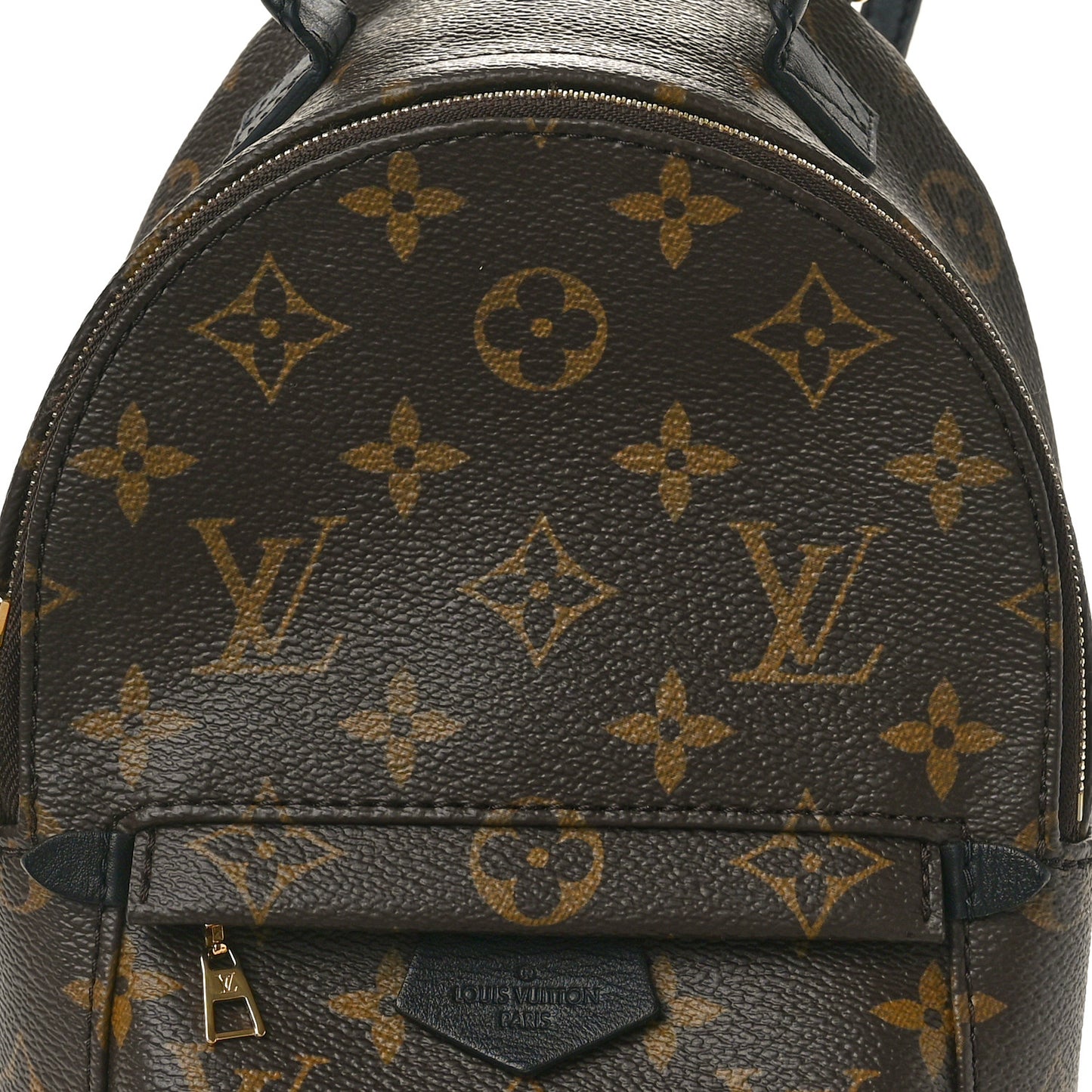 Monogram Palm Springs Backpack Mini