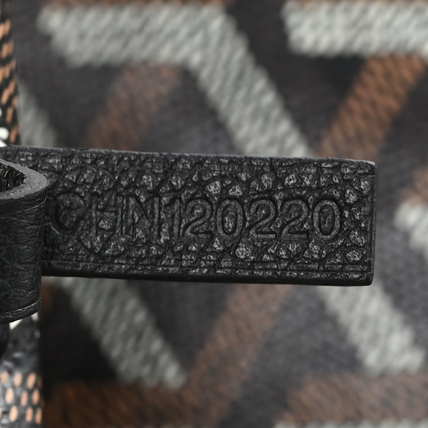 Goyard Goyardine Saint Louis PM Black 8 of 11