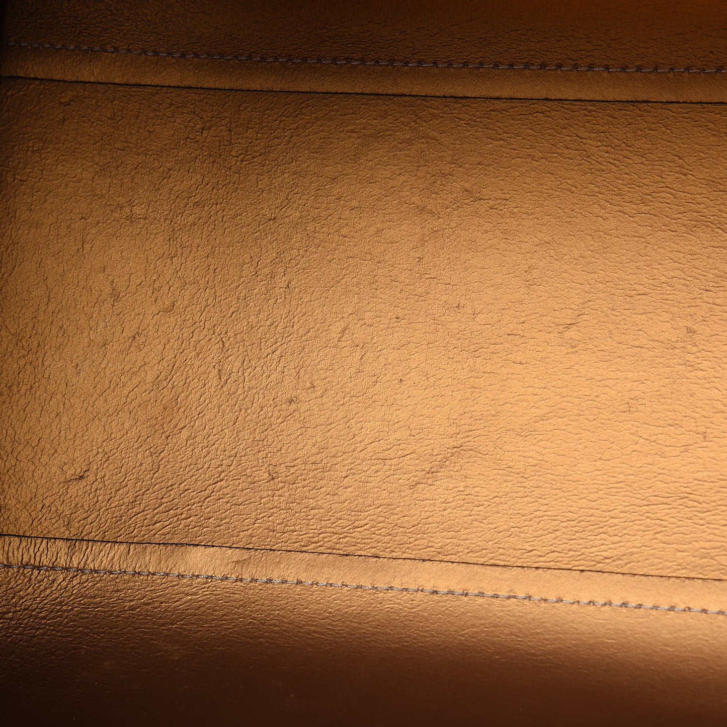 Calfskin Medium GV Shopper Tote Powder