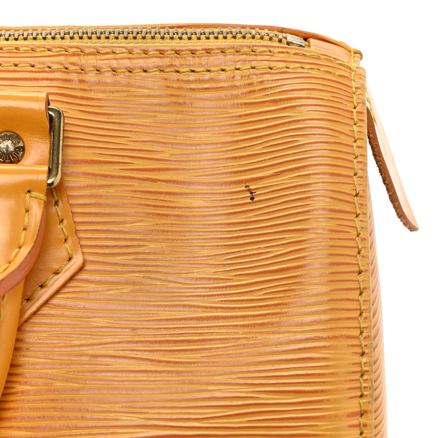 Louis Vuitton Epi Speedy 25 Tassil 18 of 19