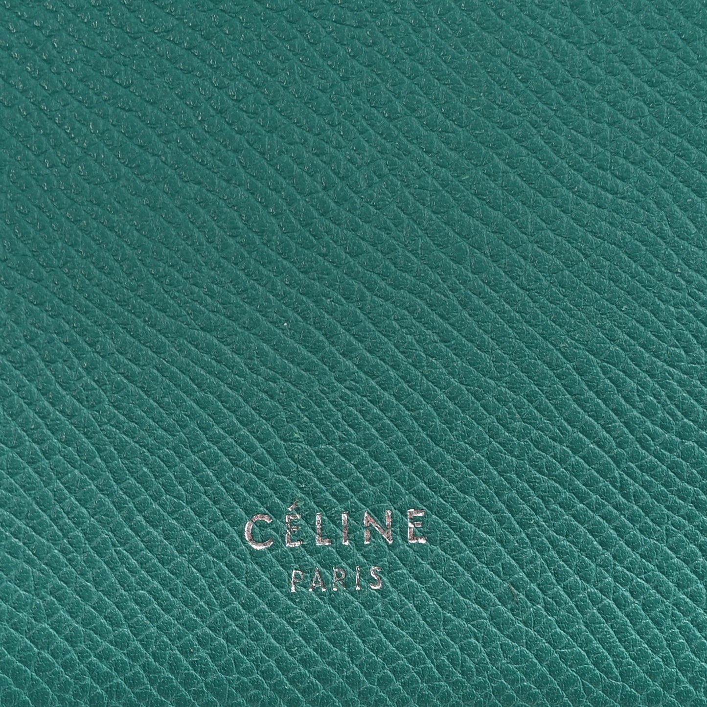 Grained Calfskin Micro Belt Bag Cactus