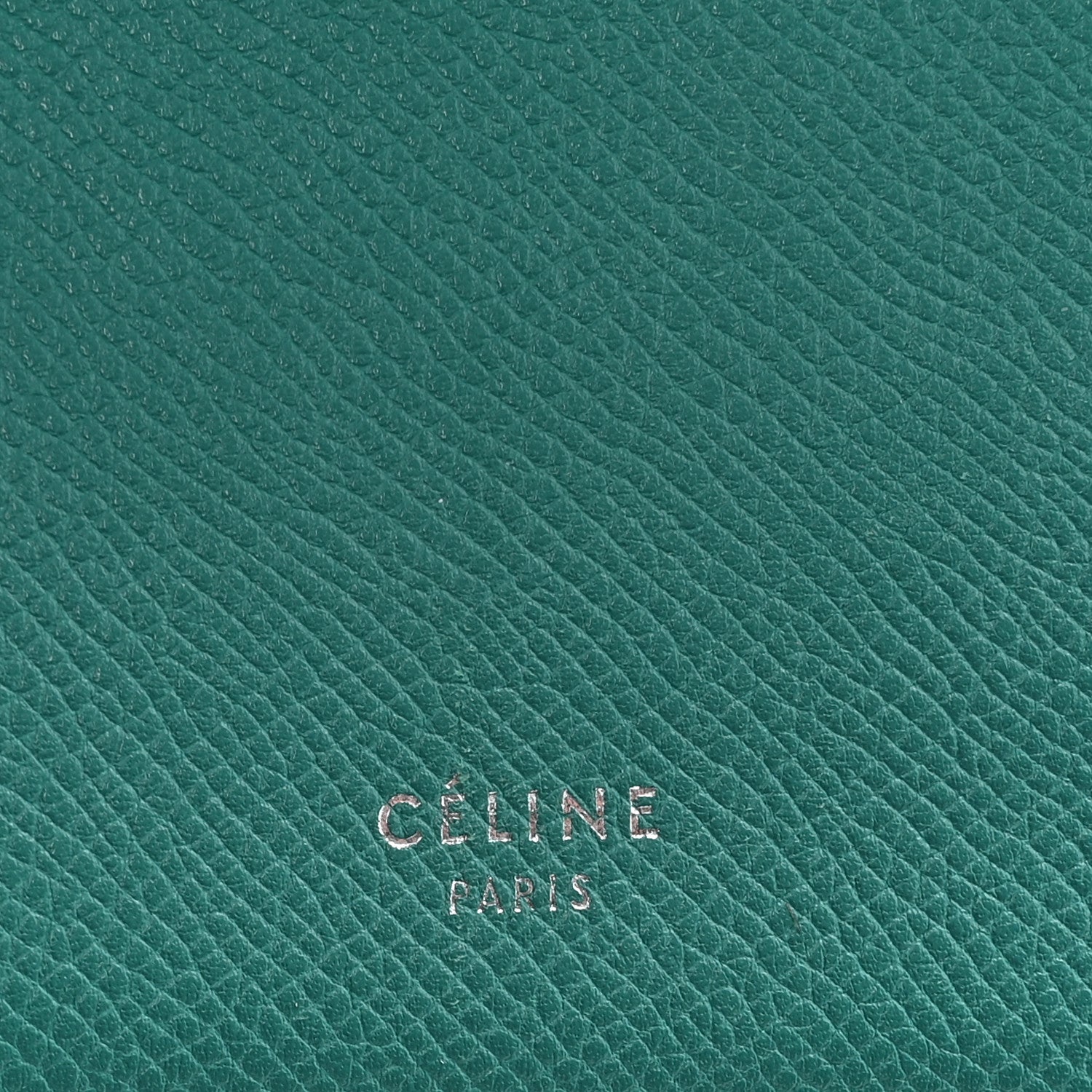 Celine Grained Calfskin Micro Belt Bag Cactus 6 of 10