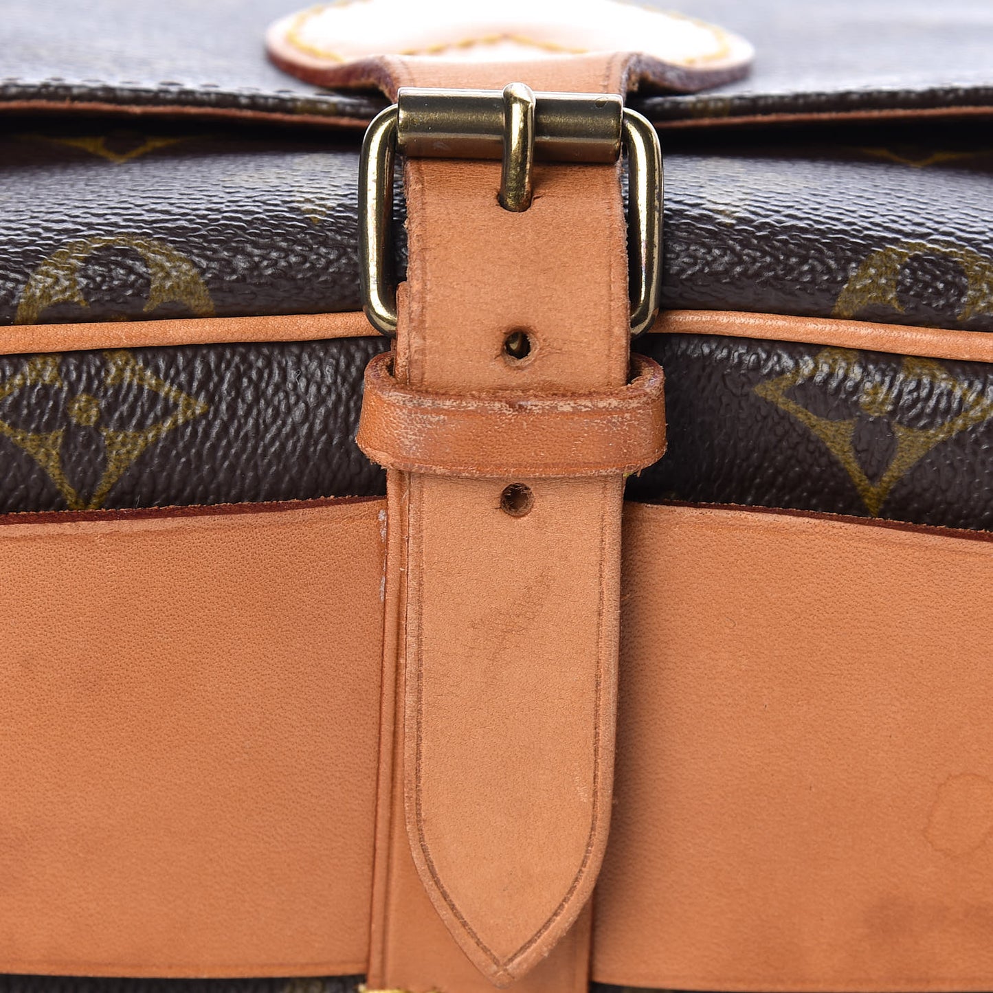 Monogram Cartouchiere 22