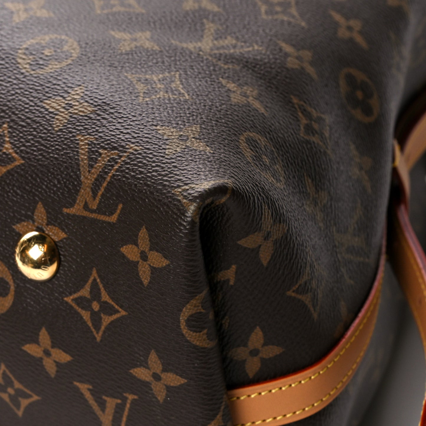 Monogram CarryAll MM