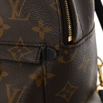 Louis Vuitton Monogram Palm Springs Backpack Mini 11 of 13