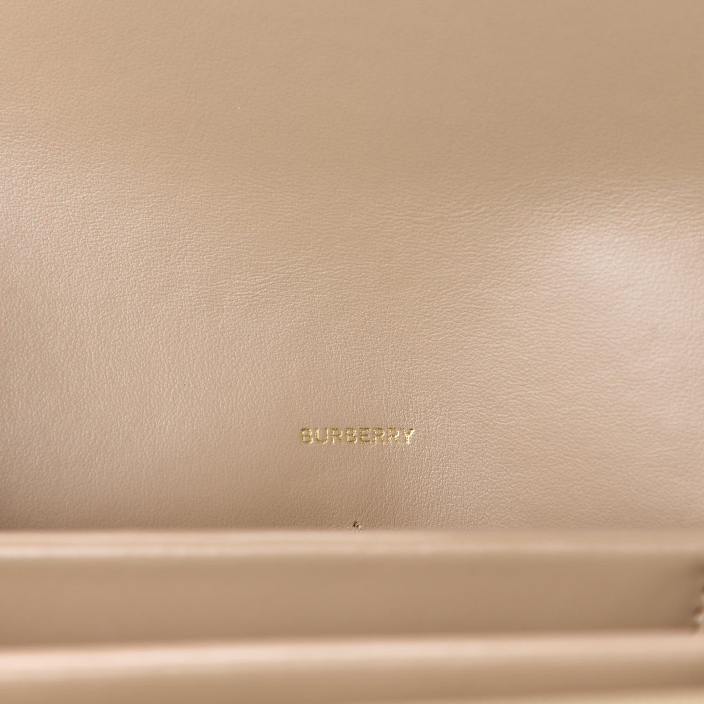 Grained Calfskin Albion TB Bag Archive Beige