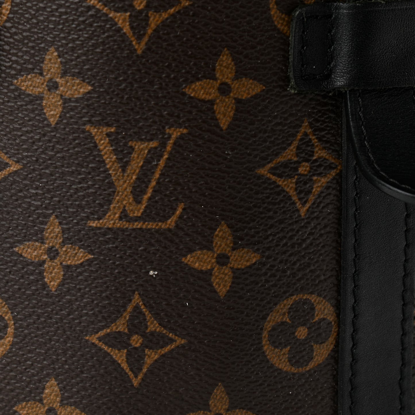 Monogram Macassar Christopher PM Backpack