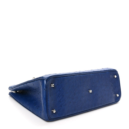 Christian Dior Ostrich Large Diorissimo Tote Blue 5 of 11