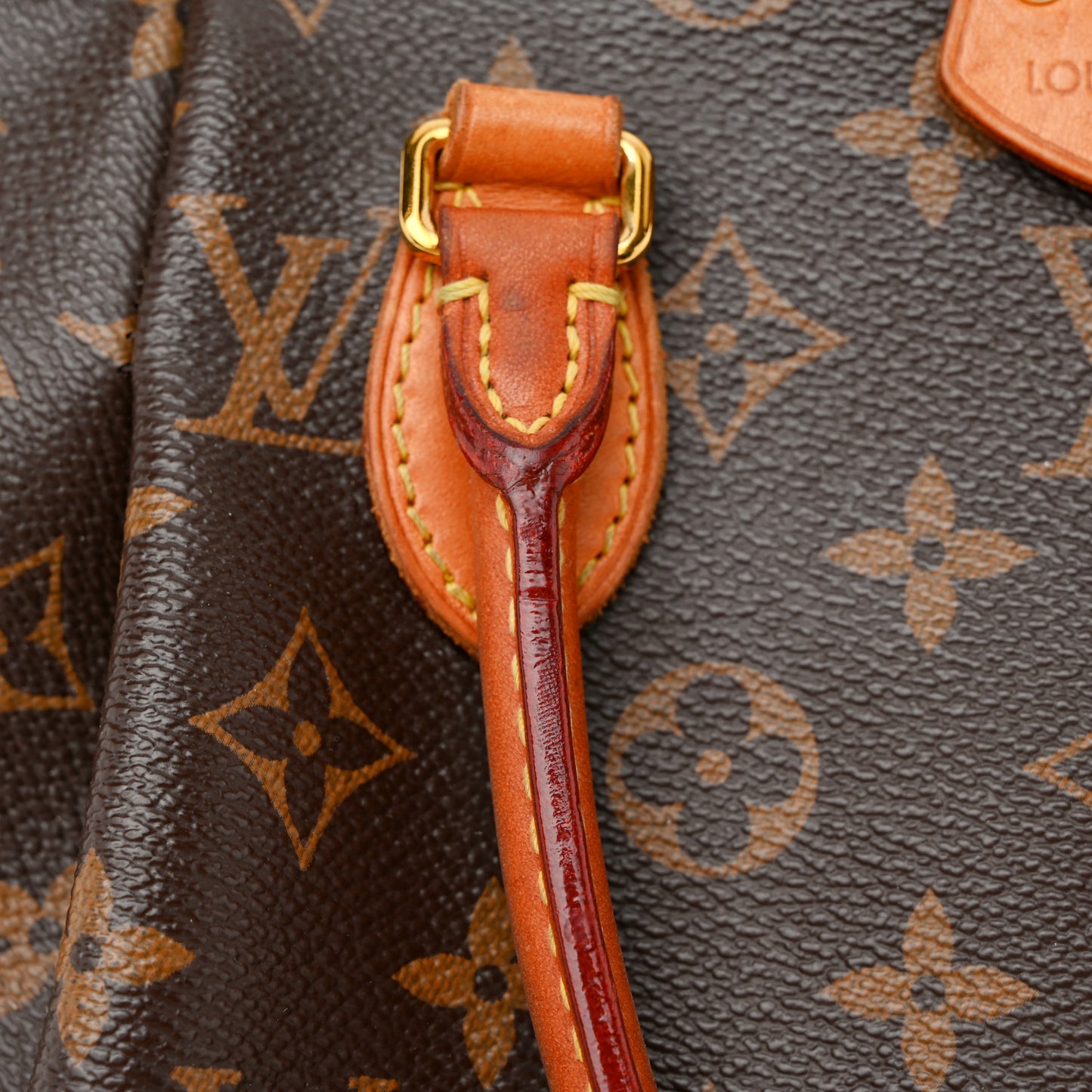 Monogram Turenne PM