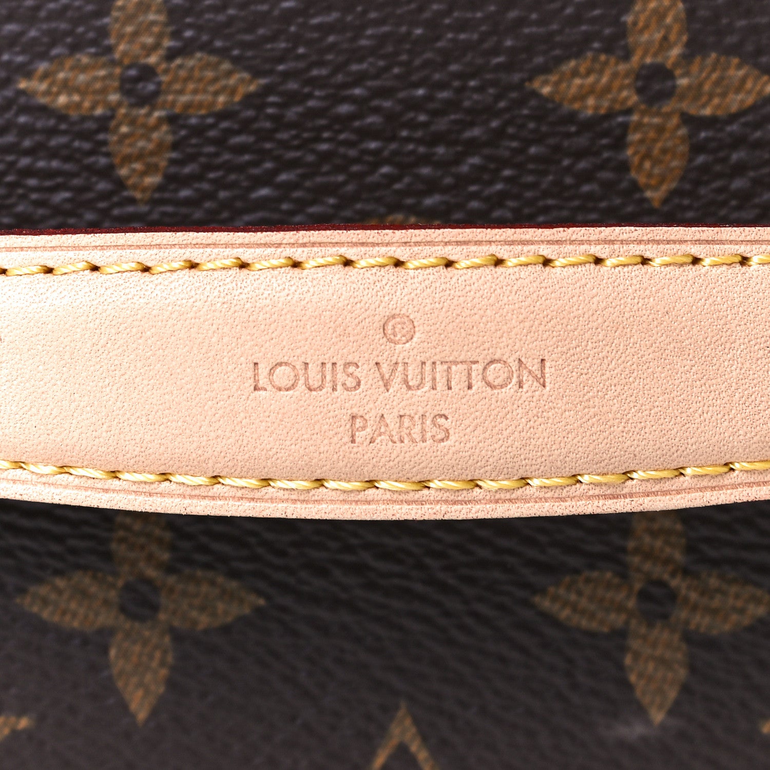 Louis Vuitton Monogram Nice Mini 7 of 8