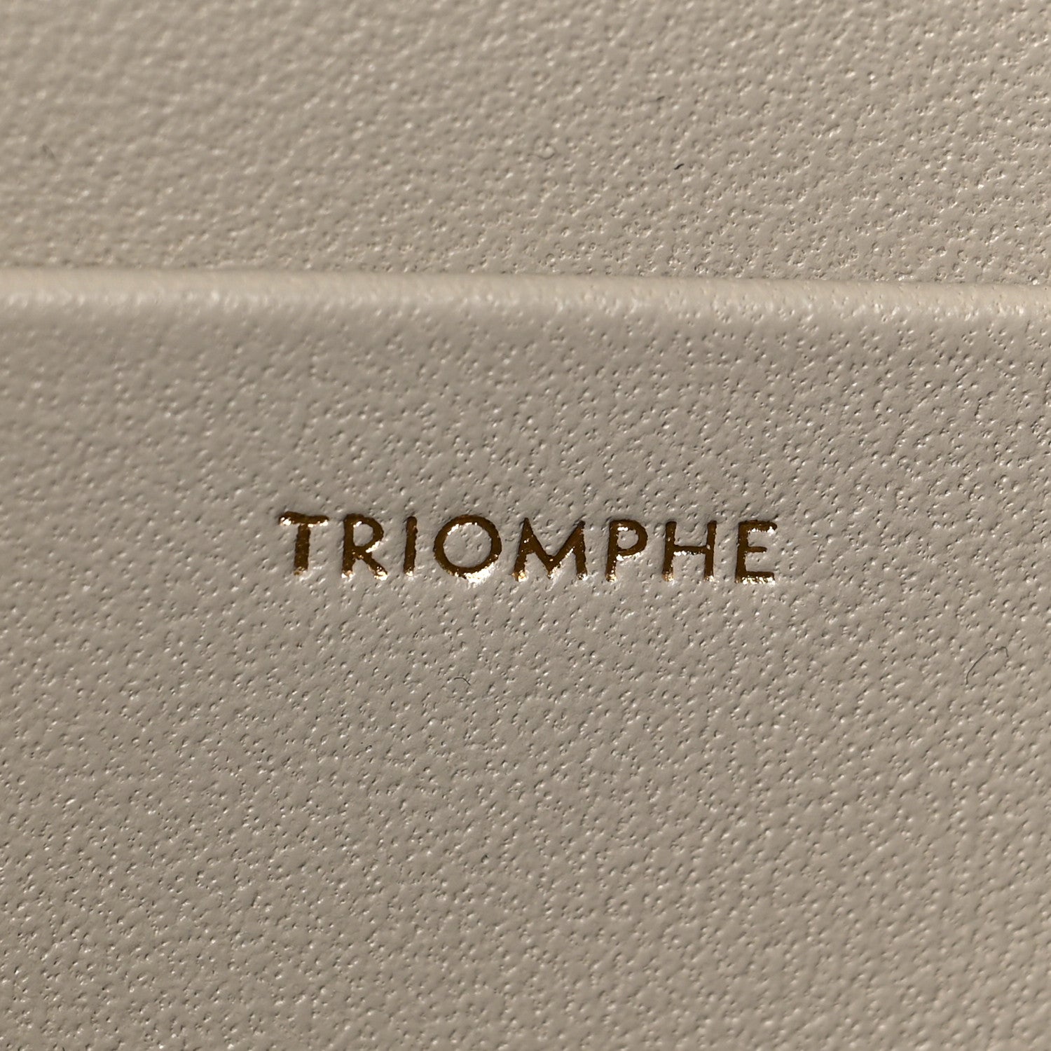 Celine Shiny Calfskin Medium Triomphe Trench 7 of 9