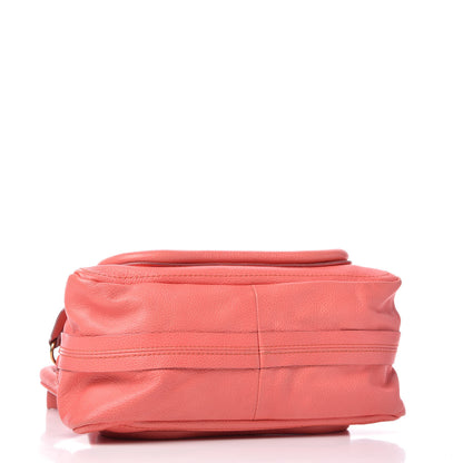Chloe Calfskin Small Paraty Paradise Pink 4 of 17