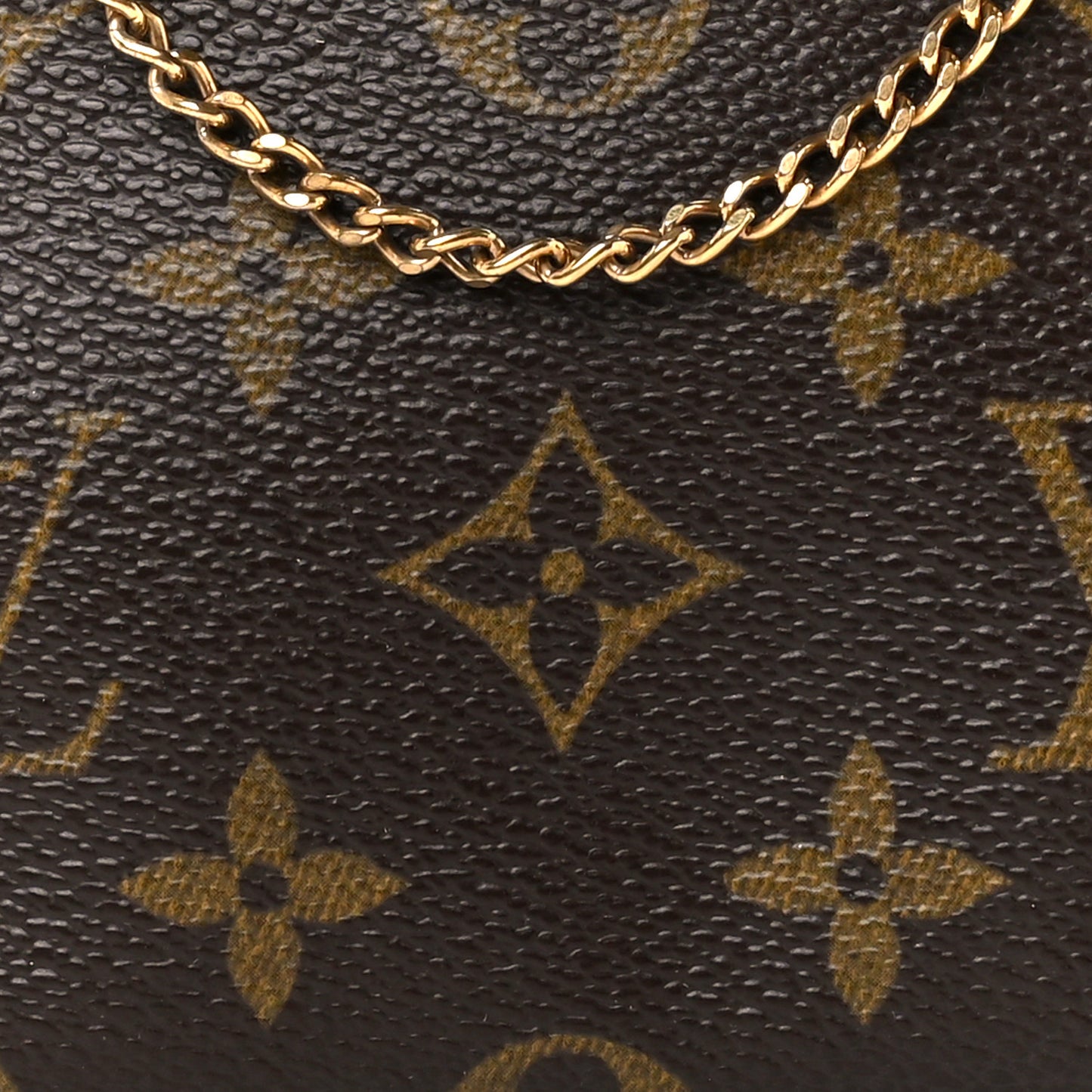Monogram Mini Pochette Accessories