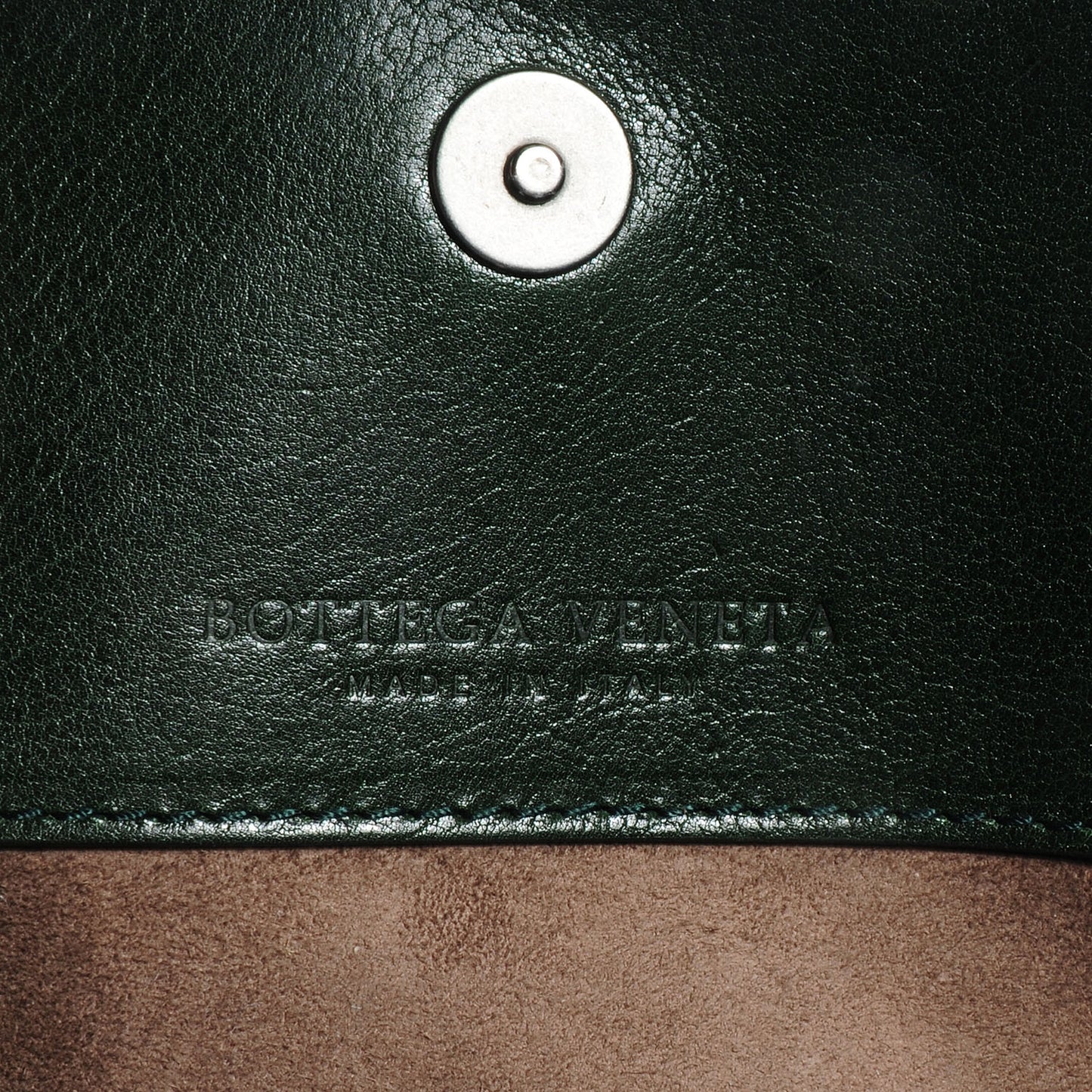 Iridescent Leather Shoulder Bag Green