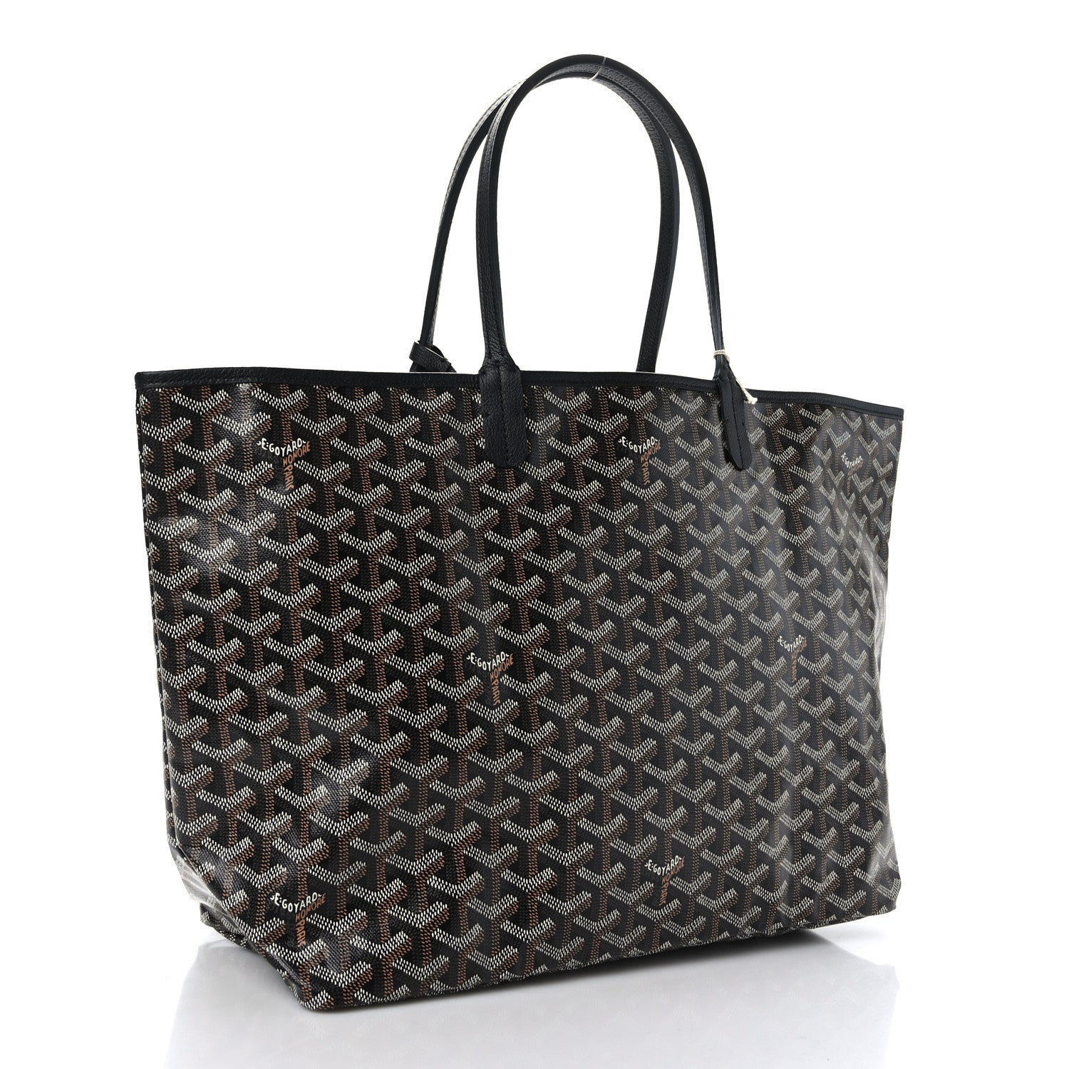 Goyard Goyardine Saint Louis PM Black 4 of 10