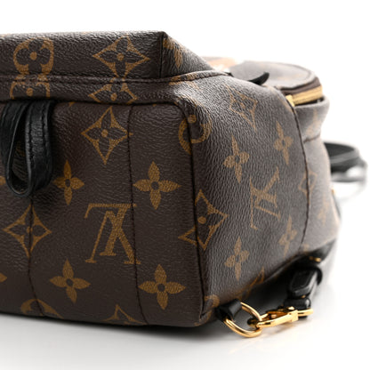 Louis Vuitton Monogram World Tour Palm Springs Backpack Mini 10 of 15