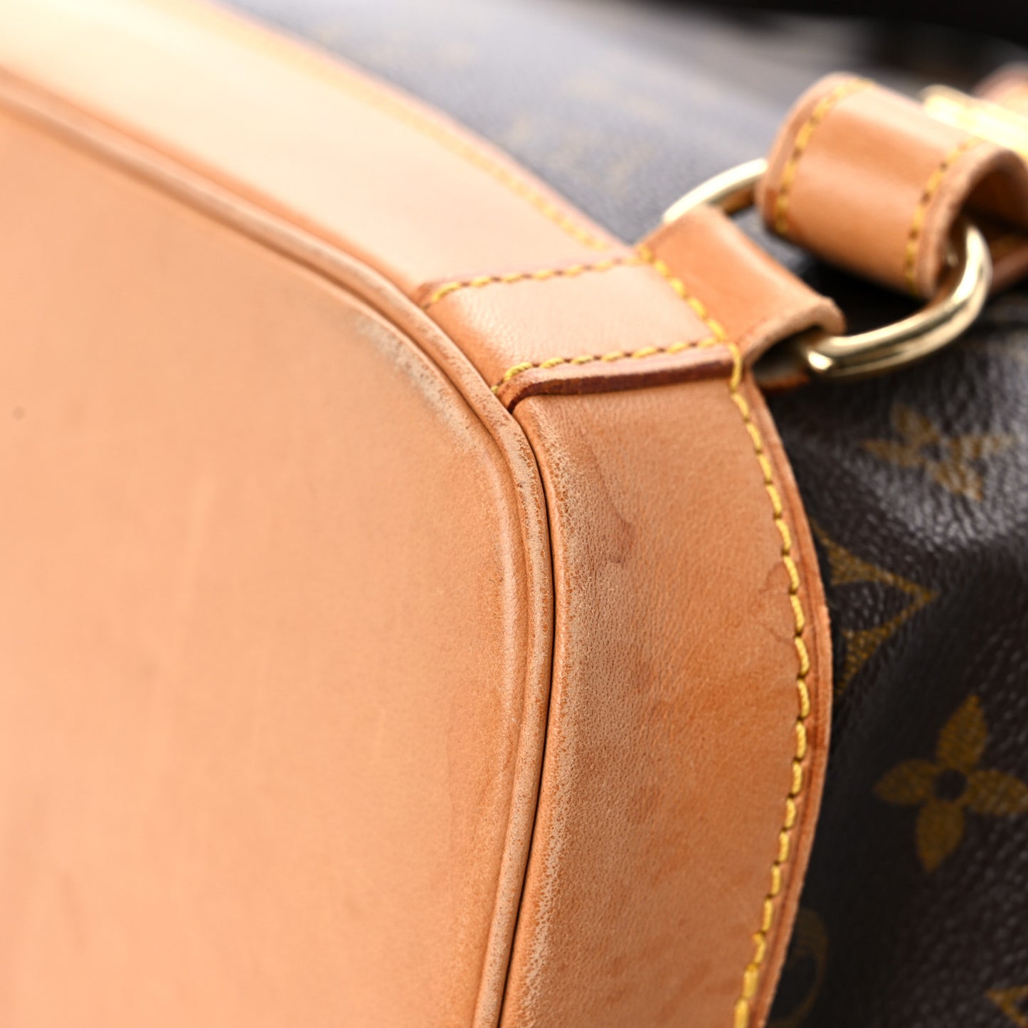 Monogram Montsouris GM Backpack