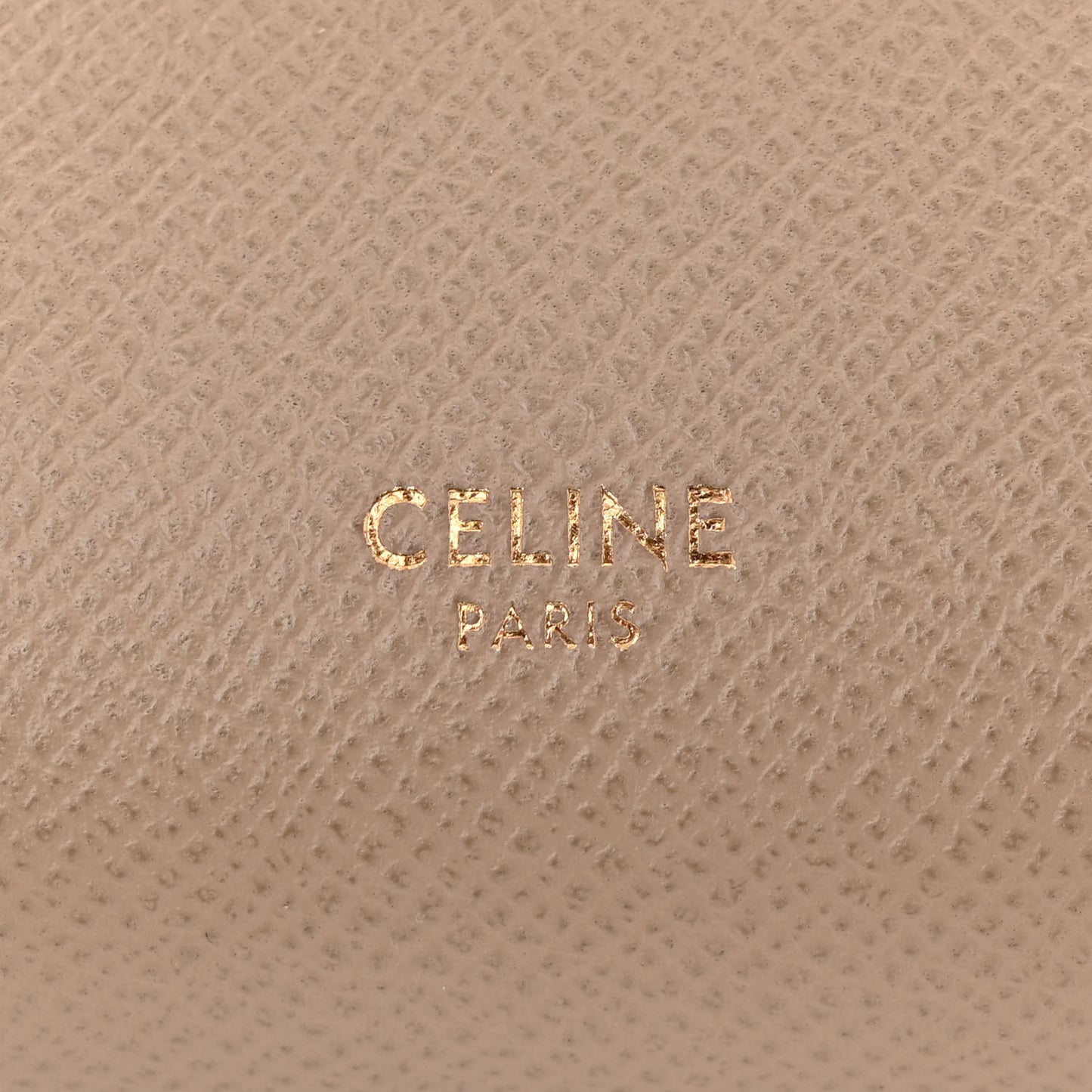 Grained Calfskin Nano Belt Bag Light Taupe