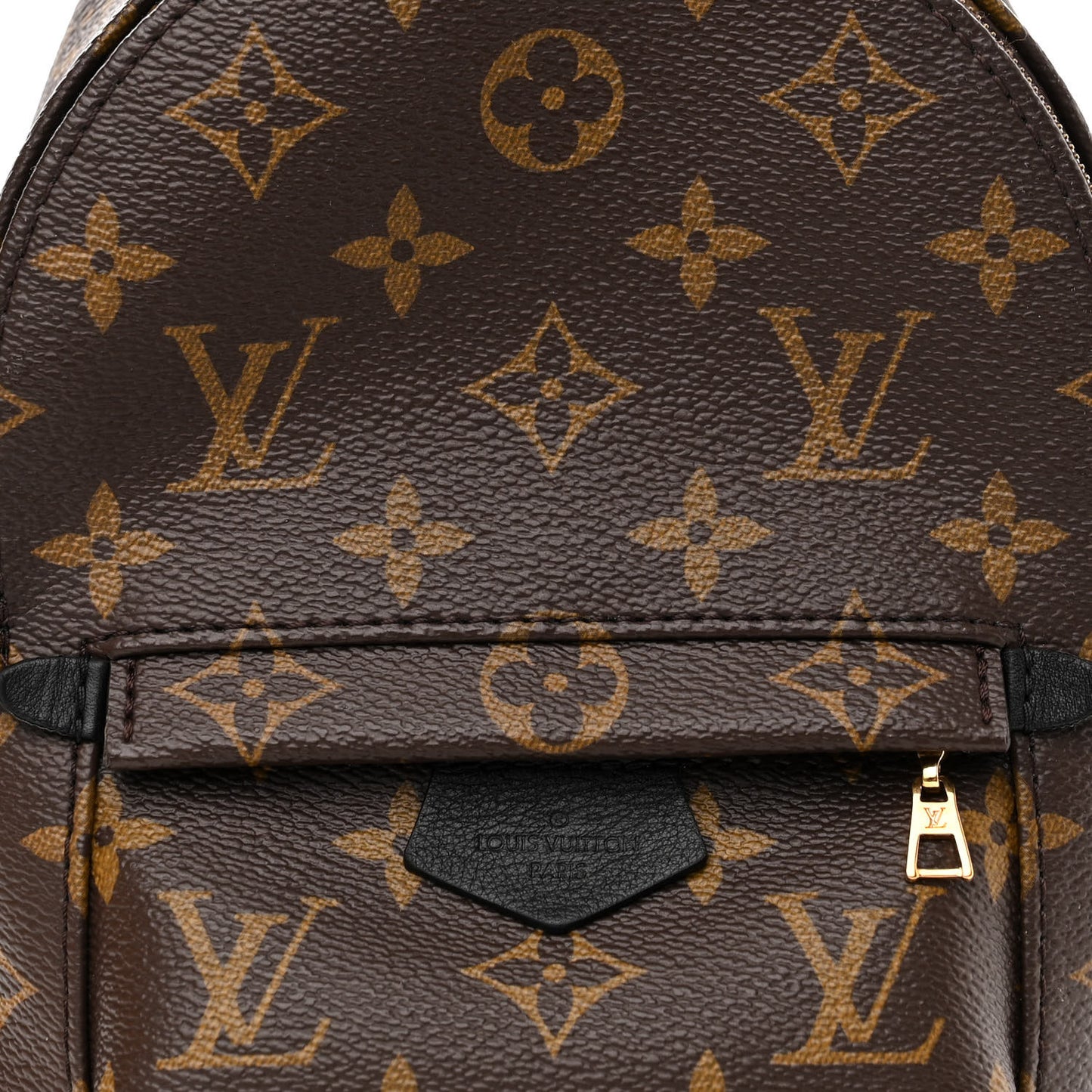 Monogram Palm Springs Backpack Mini