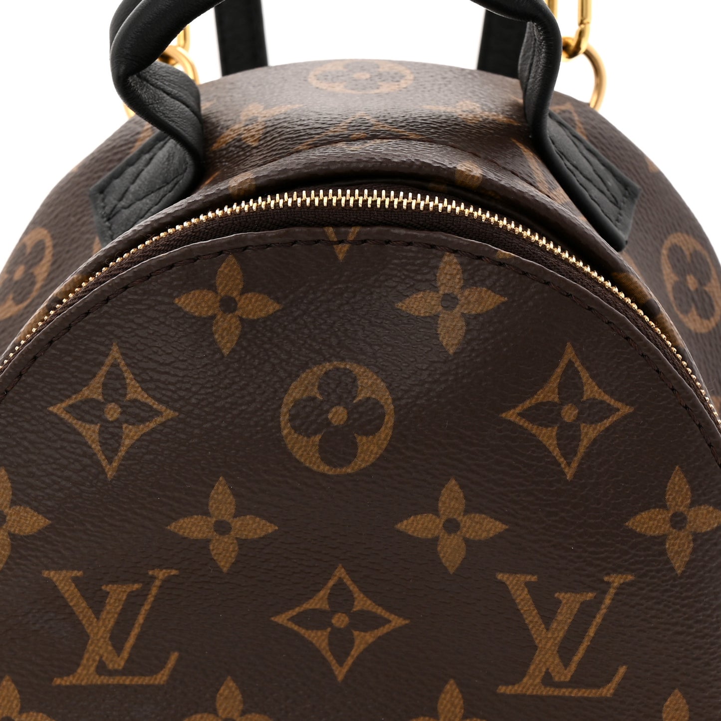 Monogram Palm Springs Backpack Mini