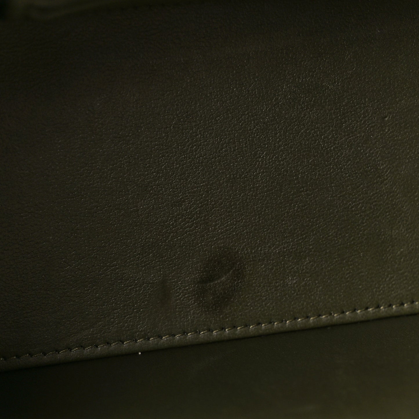 Lambskin Quilted Small Pillow Crush Vanity Case With Chain Green