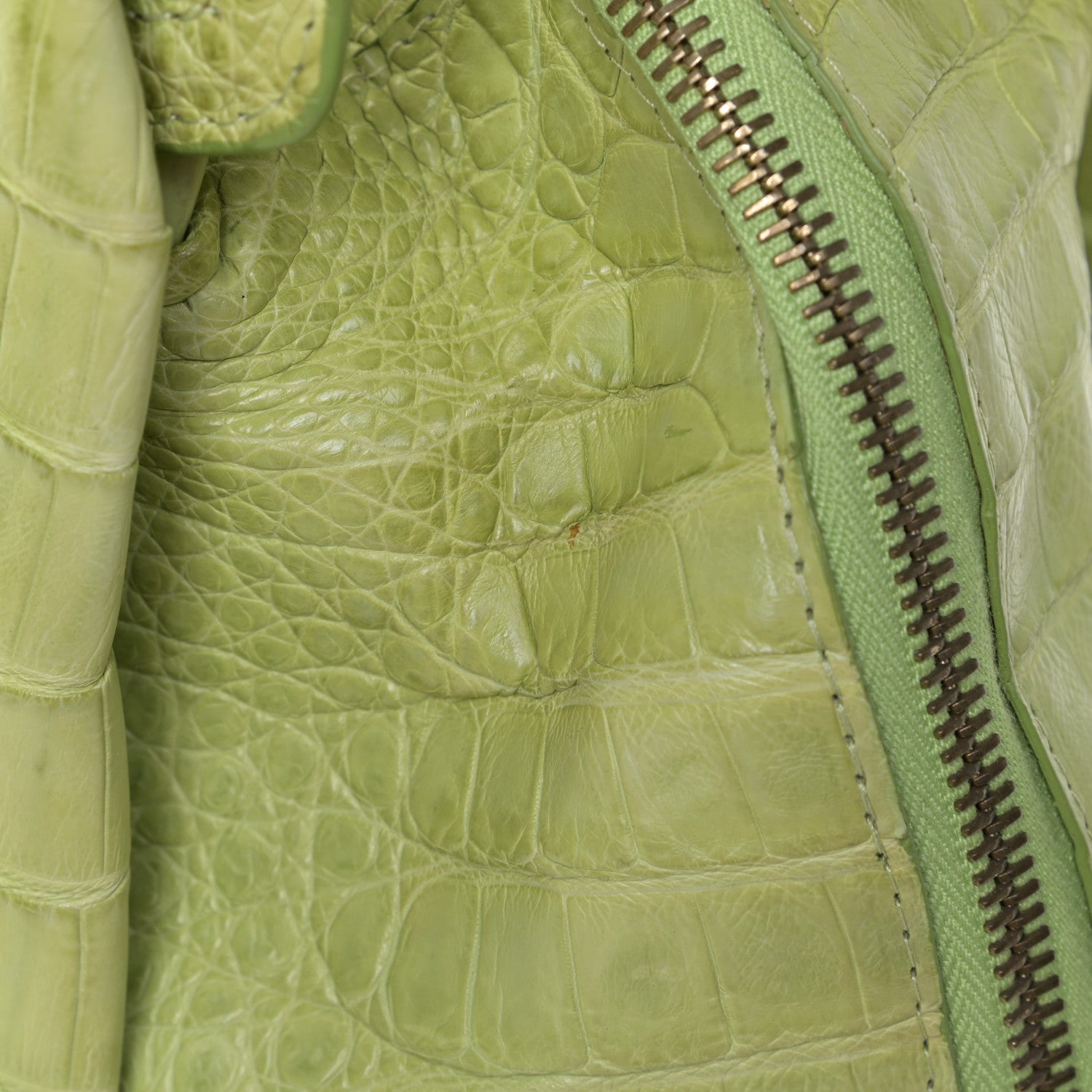 Nancy Gonzalez Crocodile Tote Lime 6 of 10