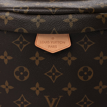 Louis Vuitton Monogram Bumbag 7 of 9