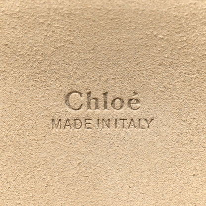 Chloe Suede Calfskin Medium Faye Shoulder Bag Dusty Yellow 7 of 12