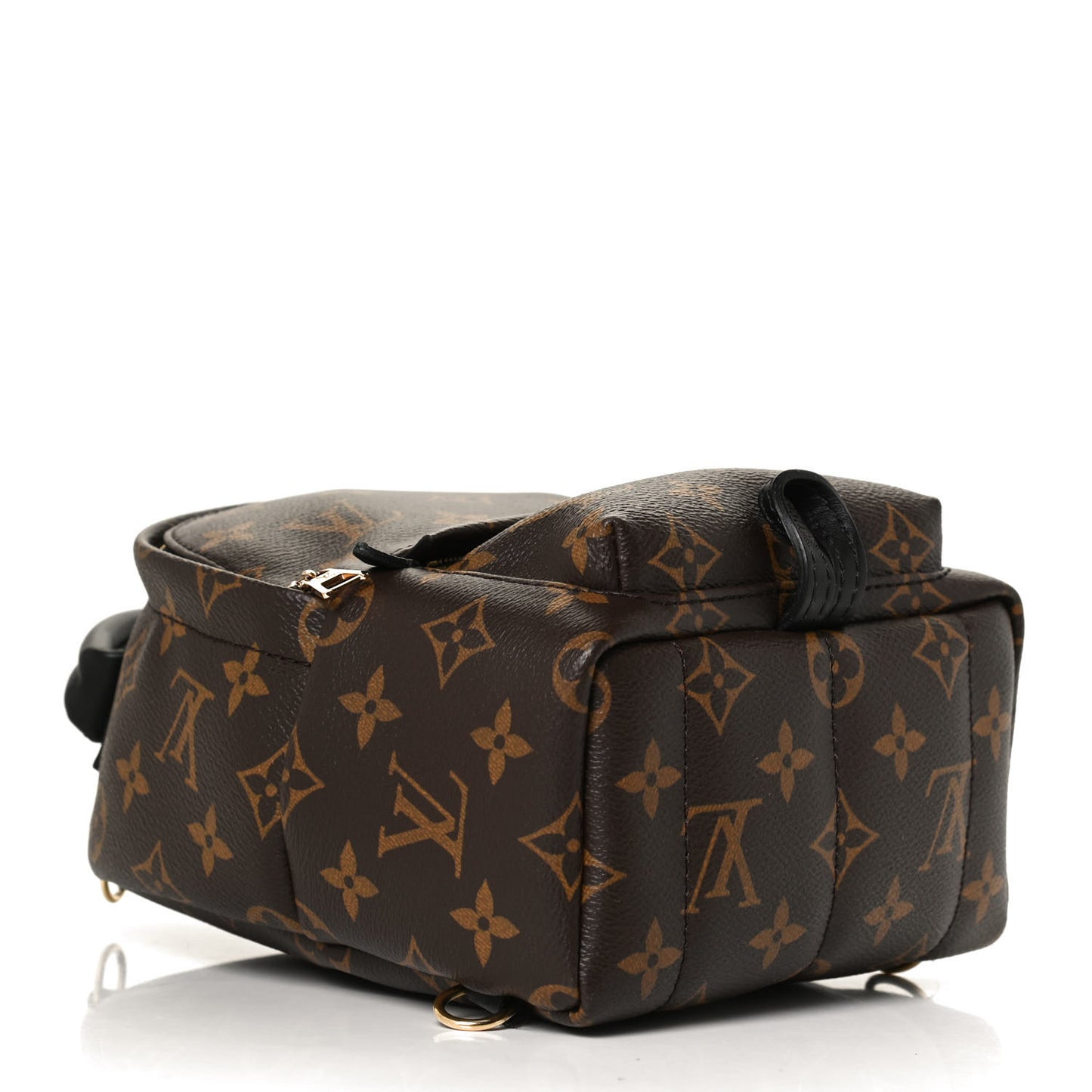 Monogram Palm Springs Backpack Mini