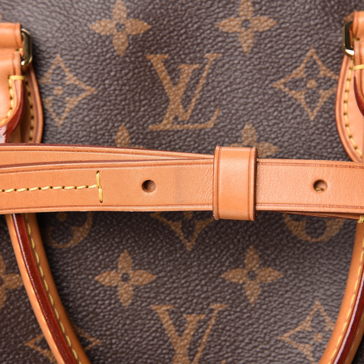 Monogram Turenne PM