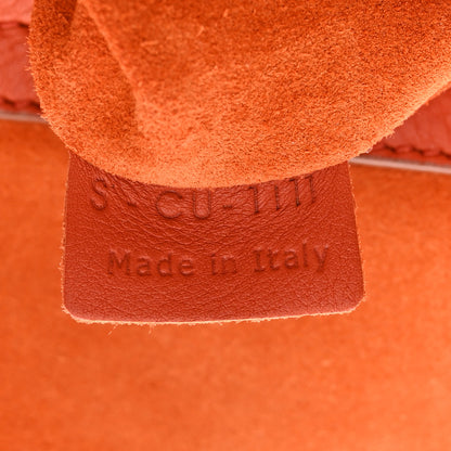 Celine Grained Calfskin Medium Phantom Luggage Burnt Orange 6 of 10