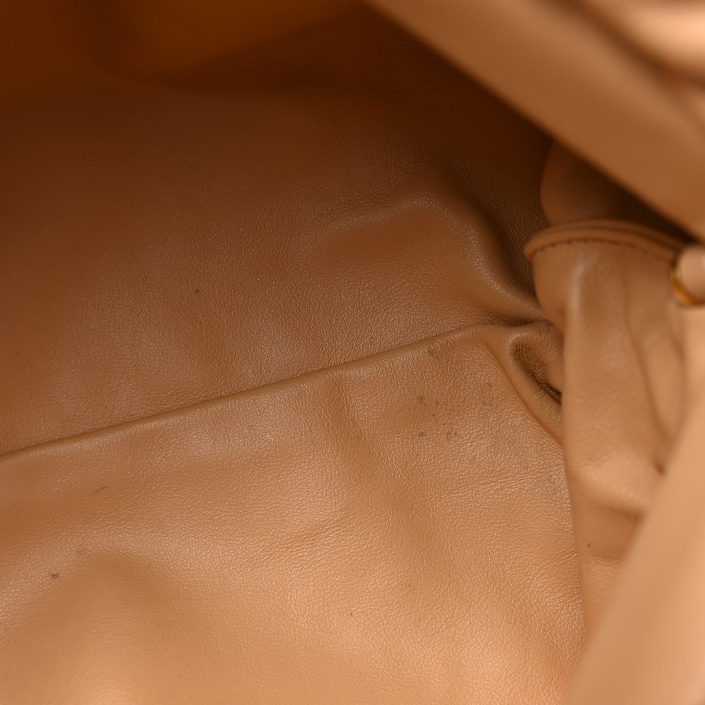 Calfskin The Pouch Chain Almond
