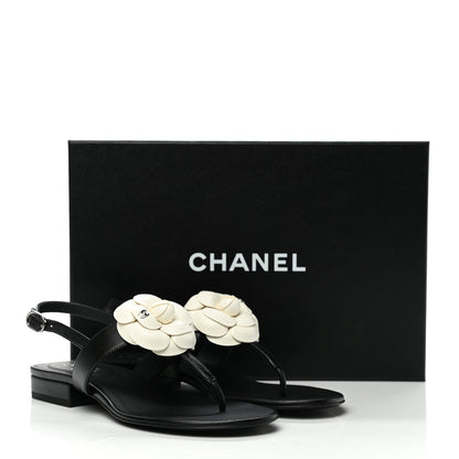 Chanel Lambskin Camellia Thong Sandals 36.5 Black White 9 of 9