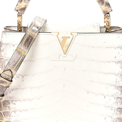 Louis Vuitton Himalaya Crocodile BB Capucines 8 of 10