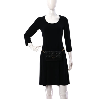 Christian Dior Supple Calfskin Cannage Caro Belt Pouch with Chain Black 3 of 10