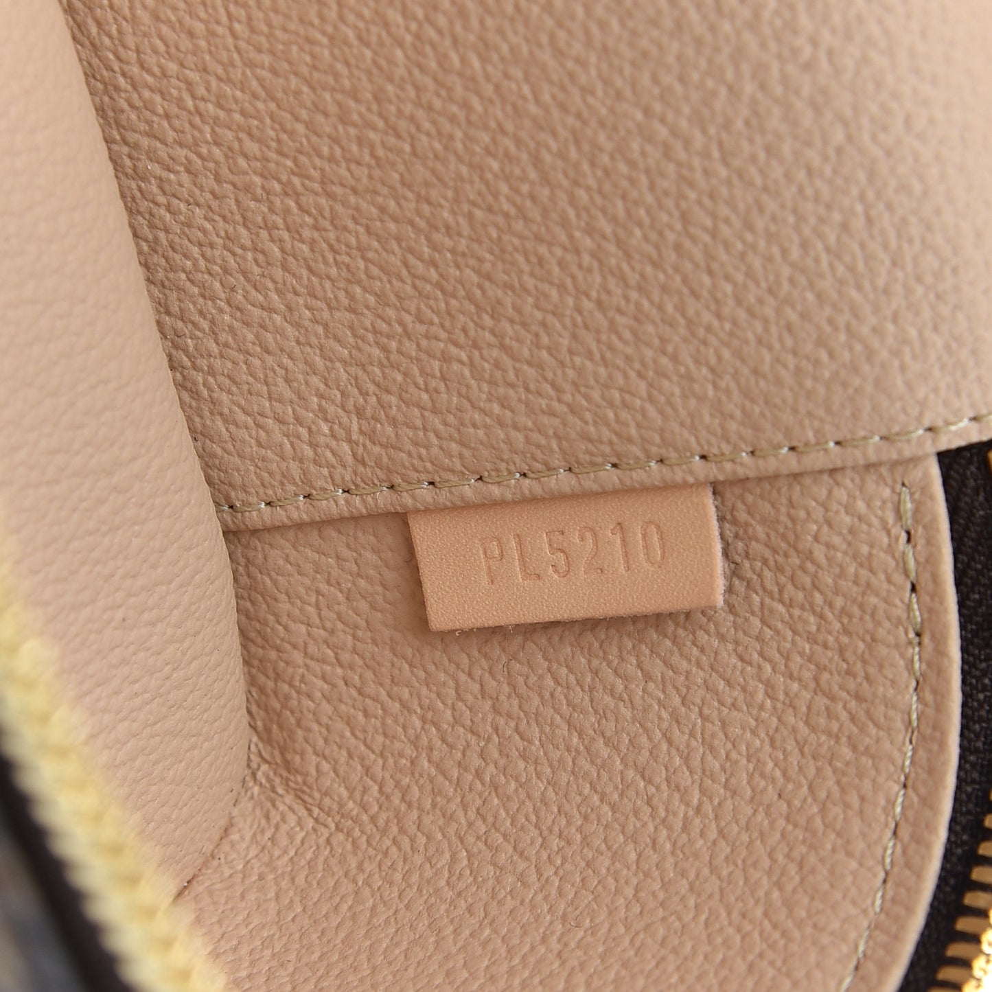 Monogram Nano Nice