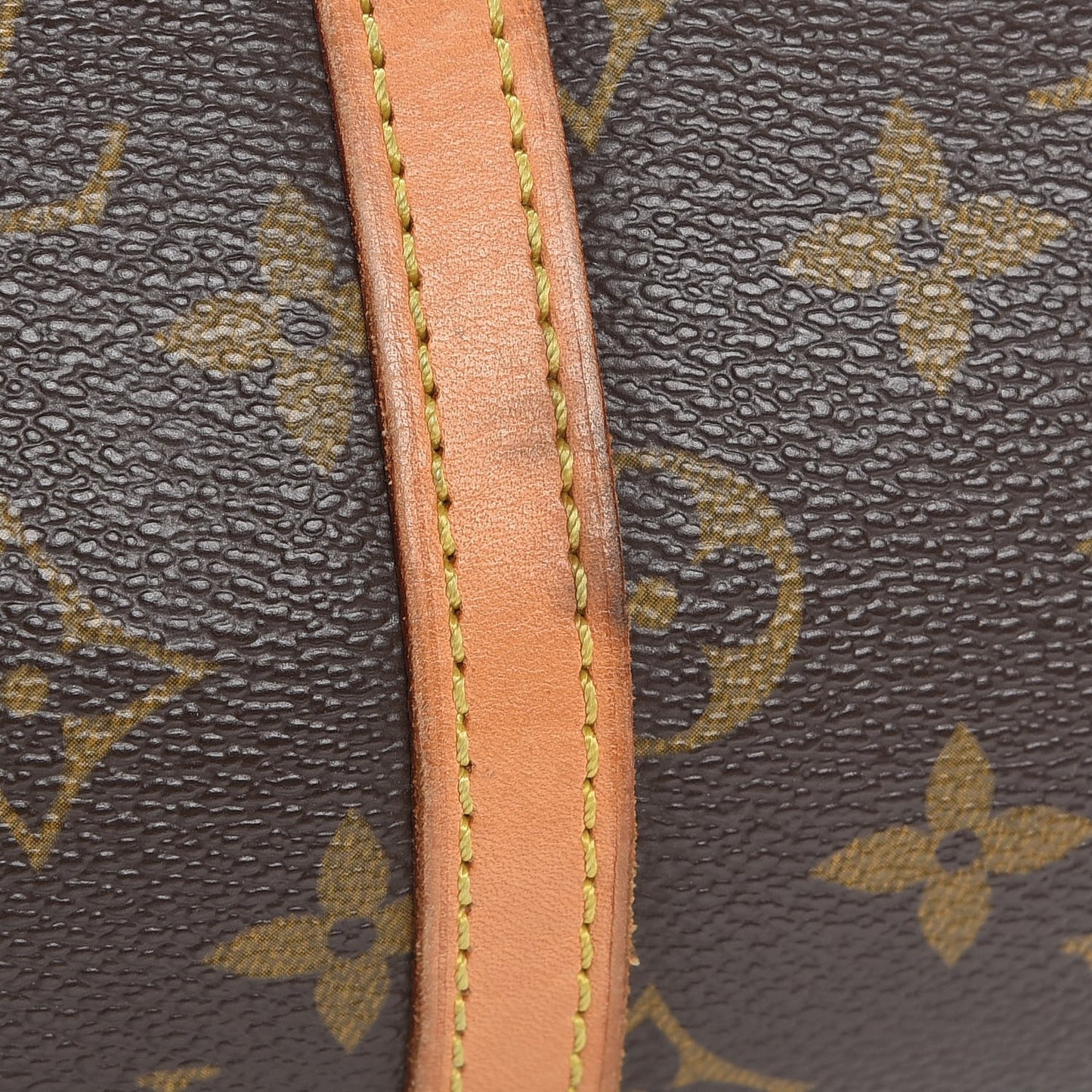 Monogram Papillon 26